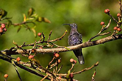 新《战地》将兼顾新老玩家 延迟更低、多种动作回归